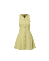 Steiner Button-Down Mini Dress