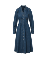 Arcadia Denim Shirtdress