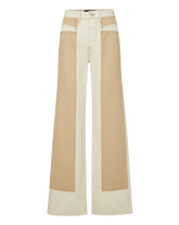 Taylor Color-Block Wide-Leg Jean