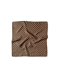 Silk Polka Dot Scarf